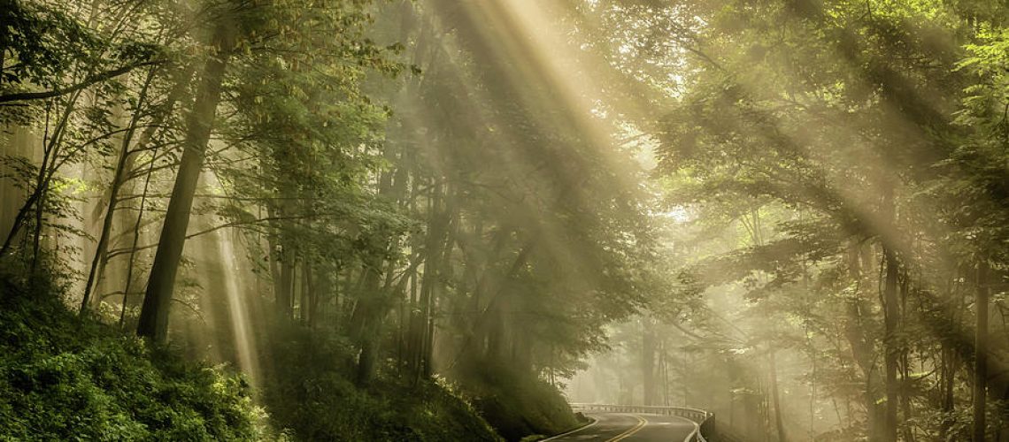 rays-of-light-along-a-country-road-thomas-r-fletcher